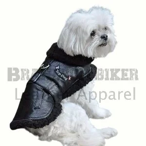top dog black flight jacket with matching leash stylish pet outerwear set