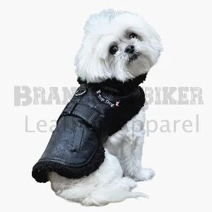 top dog black flight jacket with matching leash stylish pet outerwear set