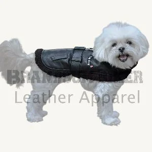 top dog black flight jacket with matching leash stylish pet outerwear set