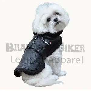 top dog black flight jacket with matching leash stylish pet outerwear set