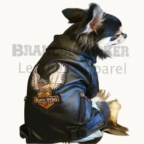 dog leather outfit stylish & durable pet jacket for dogs of all sizes
